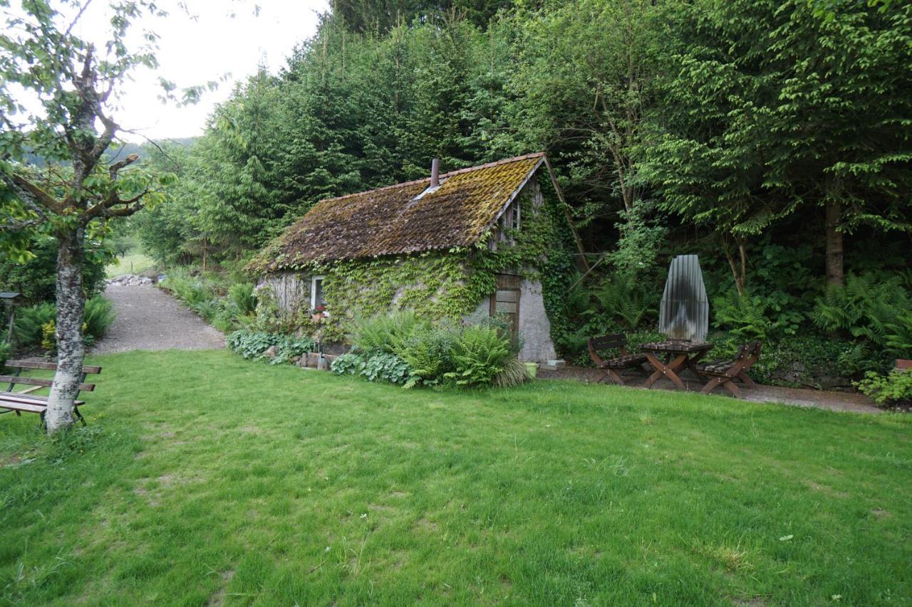 Gummeneck - Stubenhof, Black Forest Simonswald Exterior foto